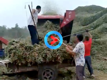 現(xiàn)場案例 現(xiàn)場案例